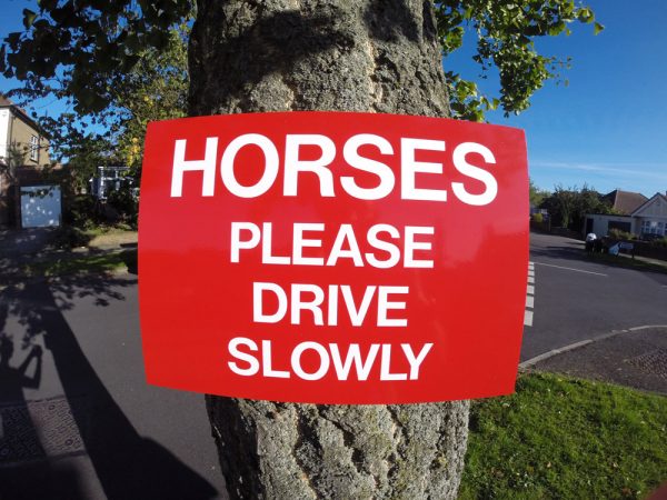 horse sign